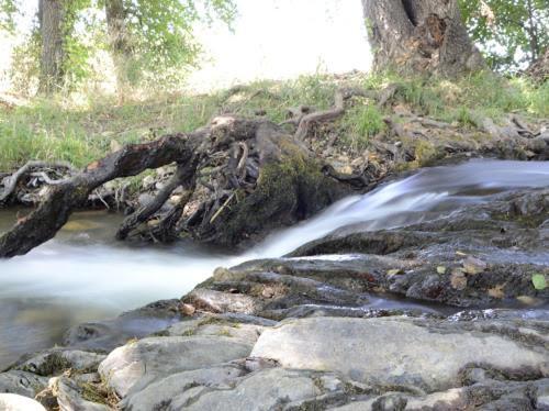 Alojamientos Rurales La Codosera Kültér fotó